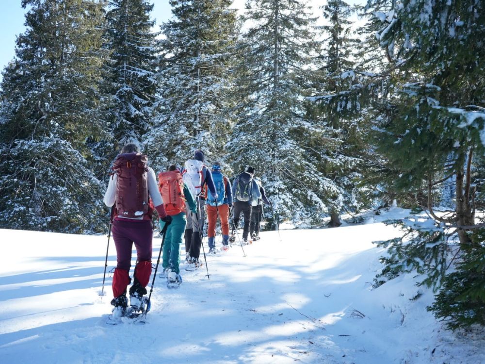 Fortbildung N&W Guide Winter